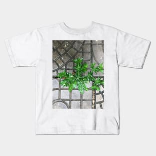 Culantro herb grass on the pavement background Kids T-Shirt